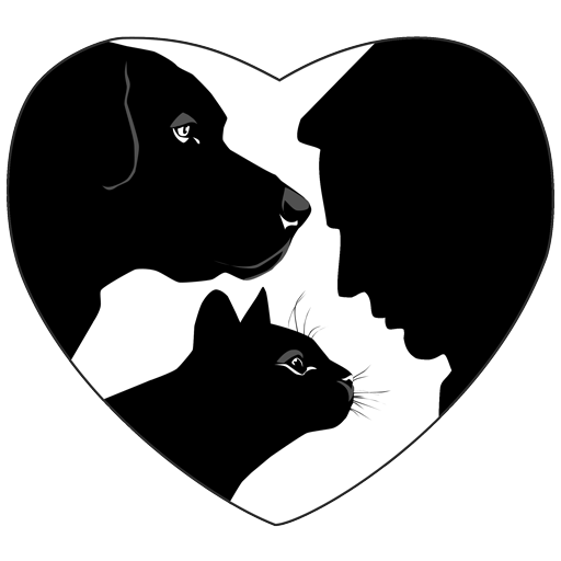 View In Home Dog Euthanasia Ct Background